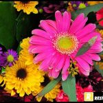 Facebook için çiçek resimleri
