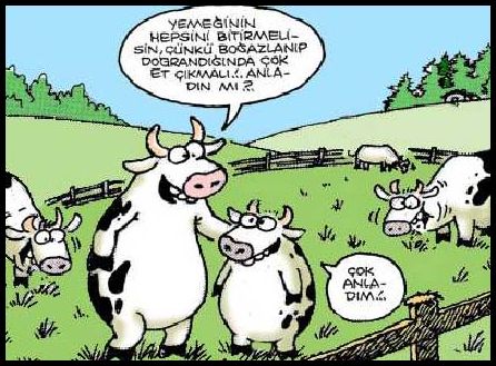 Bayram mesajları kurban komik
