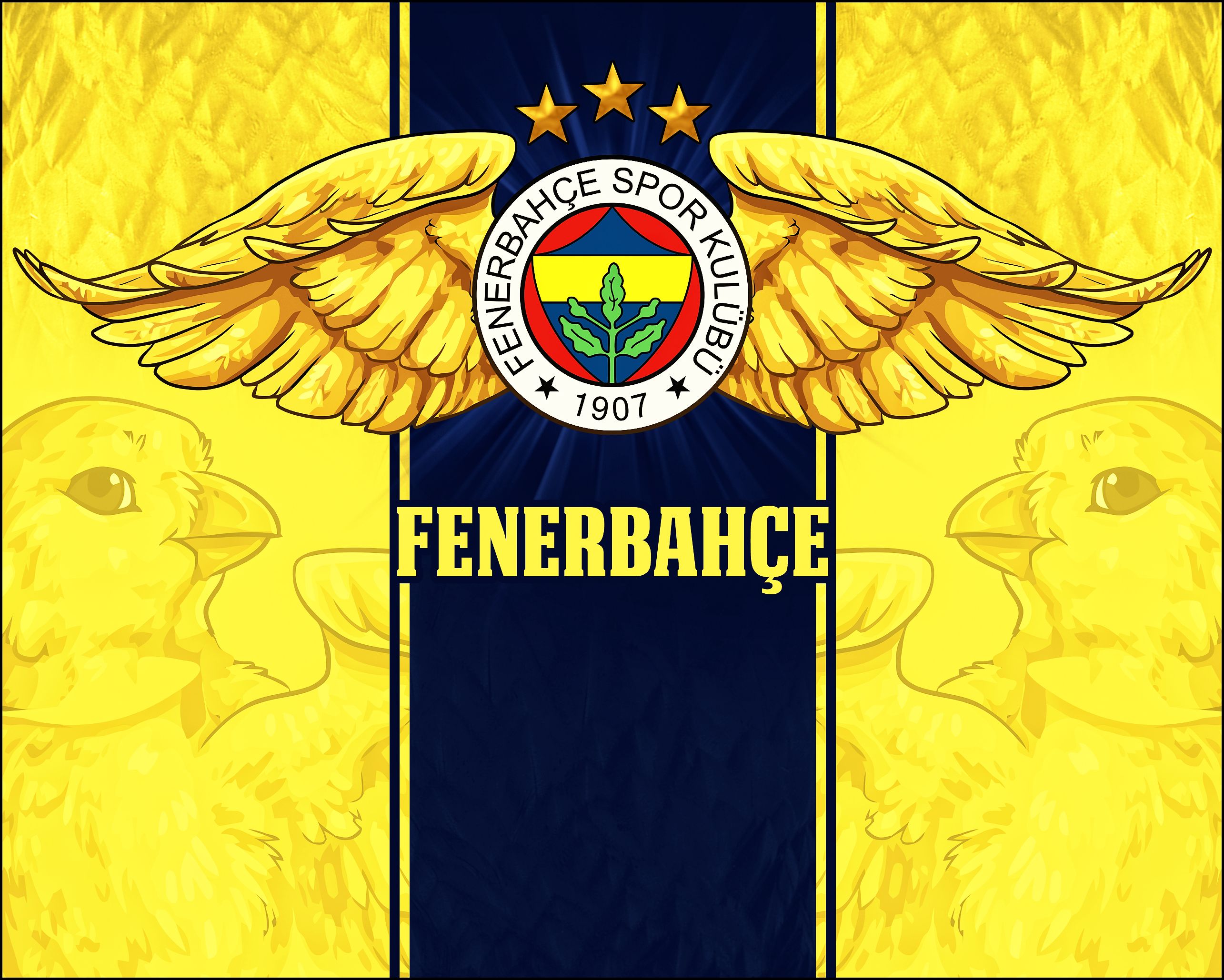 Fenerbahçe facebook kapak