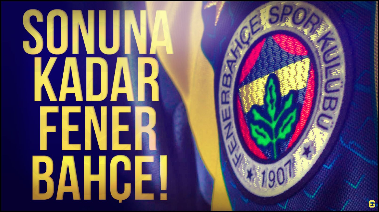 Fenerbahçe facebook profil