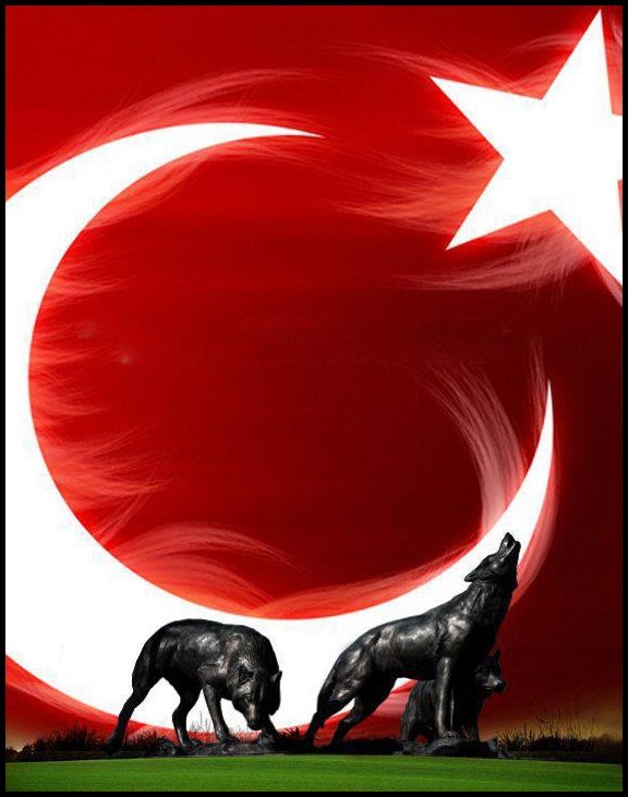Türk bayrağı kurt