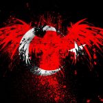 Türkiye bayrağı facebook profil