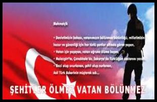 En güzel şehit şiirleri