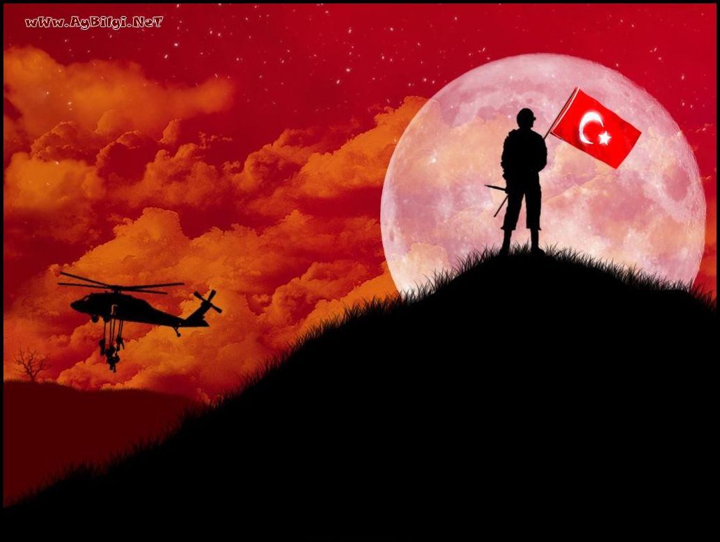 Mehmetçik kapak resimleri