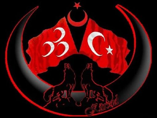Profil resimleri mhp ülkücü türk bayrağı