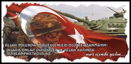 Resimli mehmetçik şiirleri