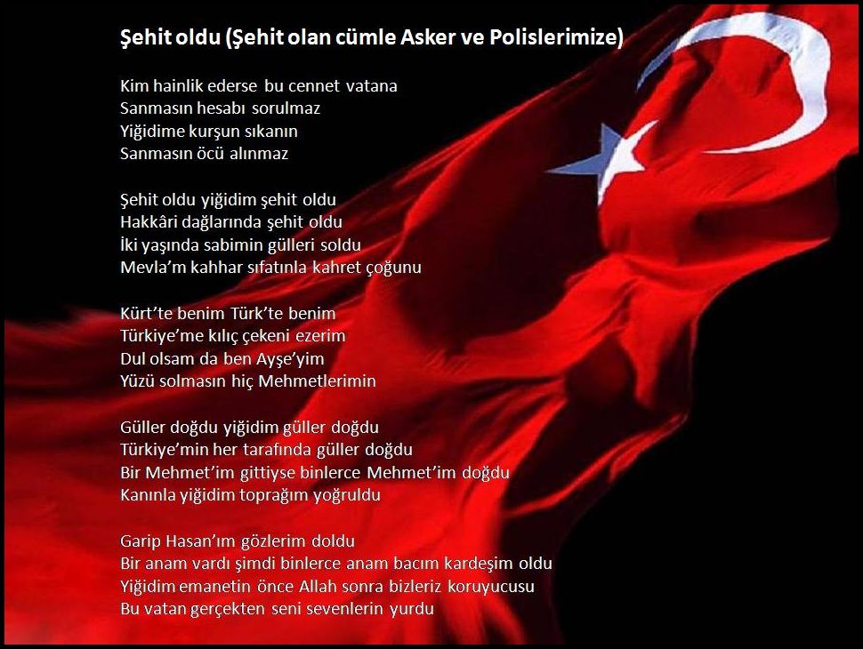 Resimli şehit şiirleri