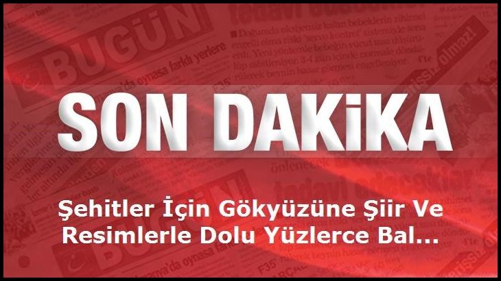 Resimli şehit şiirleri