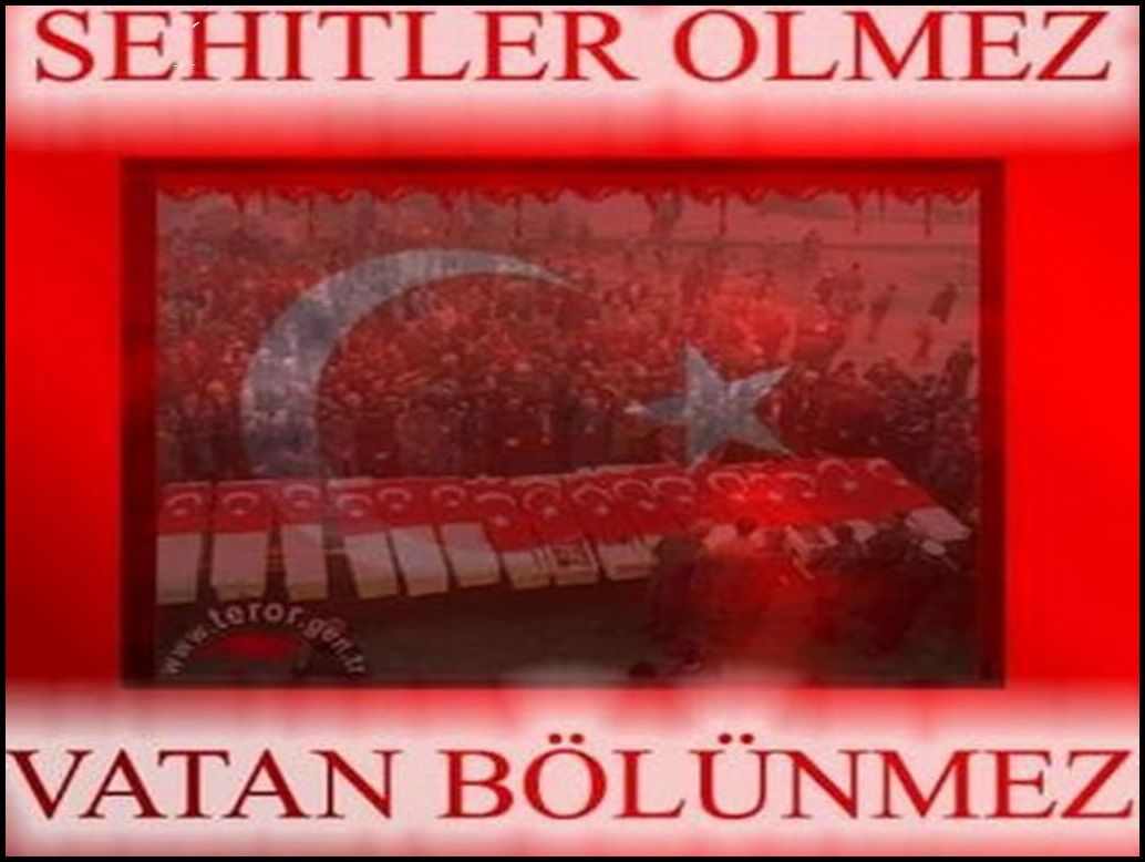 Resimli şehit şiirleri