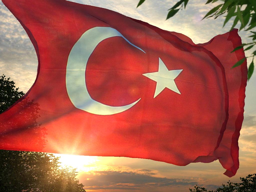 Türk bayrağı   14