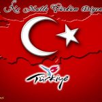 Türk bayrağı   15