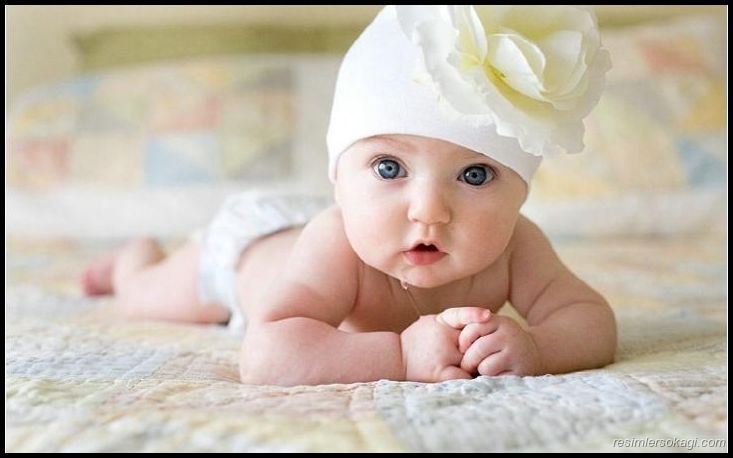 Bebek foto