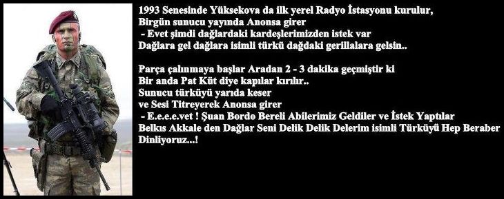 Bordo bereli şiirleri
