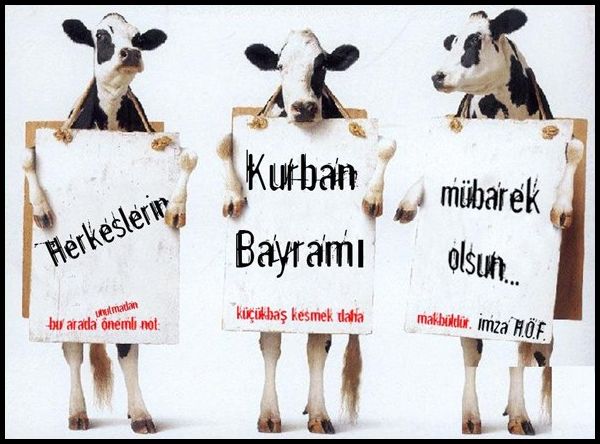 Kurban bayramı resimli mesajları