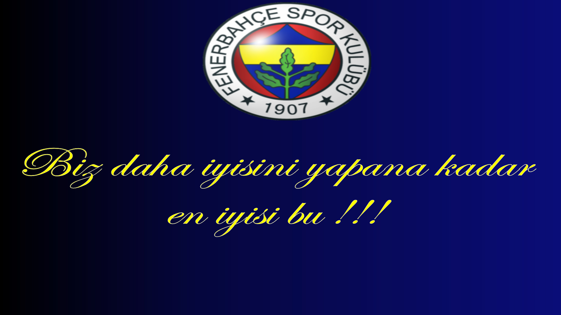Fenerbahçe fotoğrafları   12