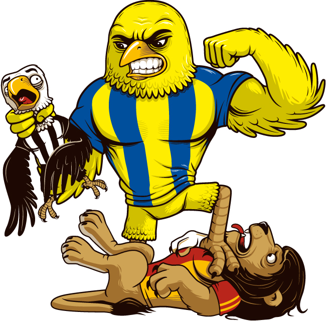 Fenerbahçe fotoğrafları   19