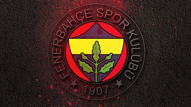 Fenerbahçe fotoğrafları   3