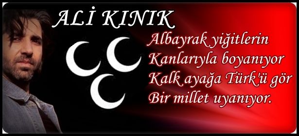 Resimli ülkücü şiirleri