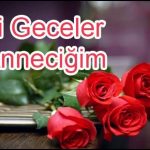 Gül resimleri anne için