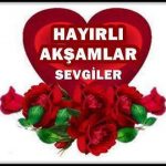 Gül resimleri iyi akşamlar