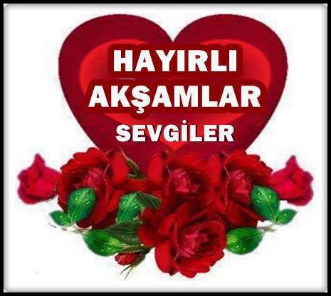 Gül resimleri iyi akşamlar