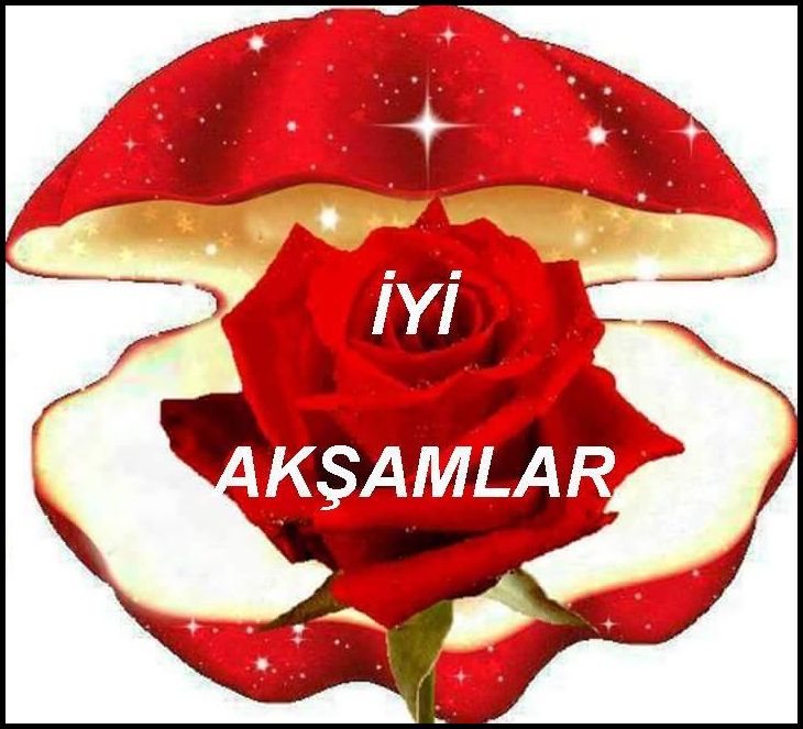 Gül resimleri iyi akşamlar