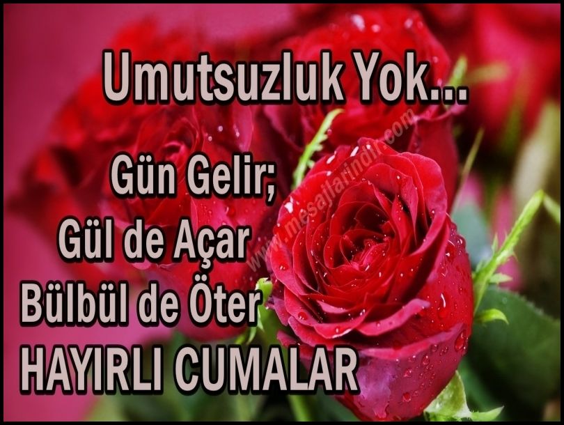 Gül resimli cuma kutlaması