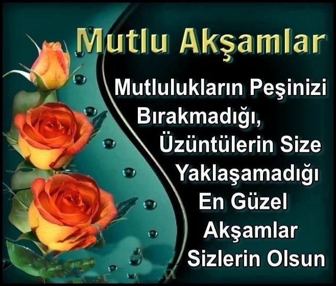 Gül resimli iyi akşamlar mesajları
