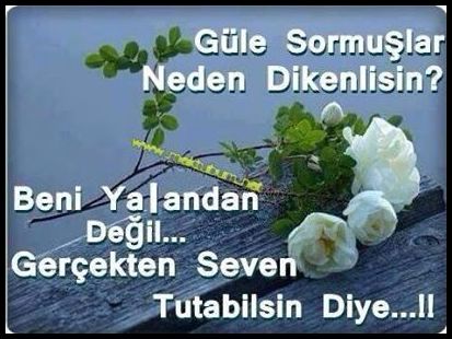 Yazılı gül resmi indir
