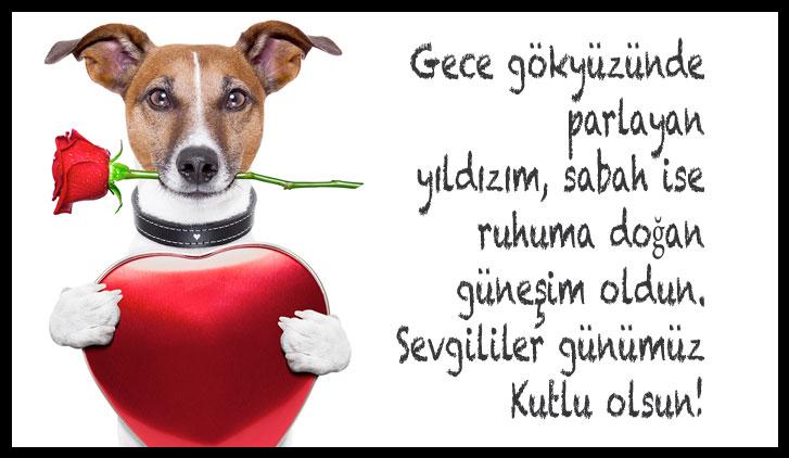 Resimli 14 şubat mesajları
