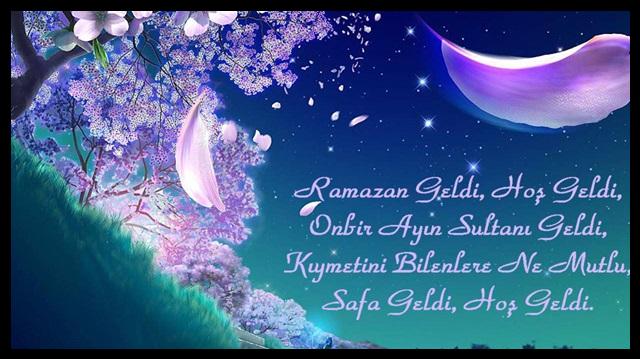 Resimli ayı ile ilgili resimli sözler