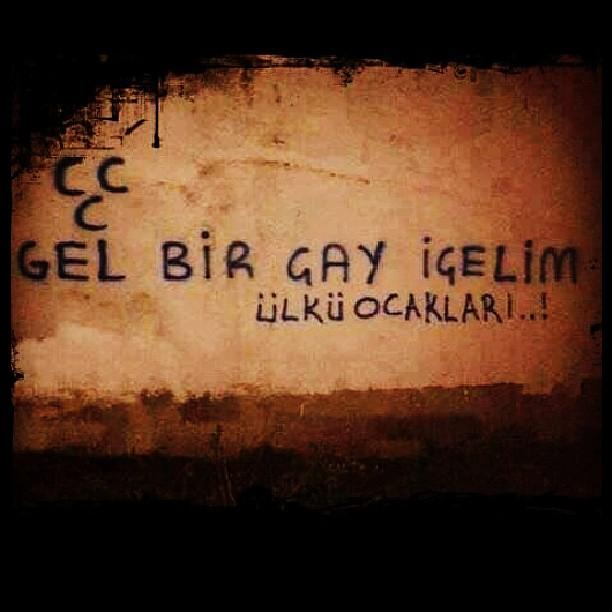Ülkücü resimleri