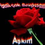 Aşkım gül resimleriaşkım gül resimleri